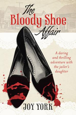 Cover of the book The Bloody Shoe Affair by Sharon R. Foster