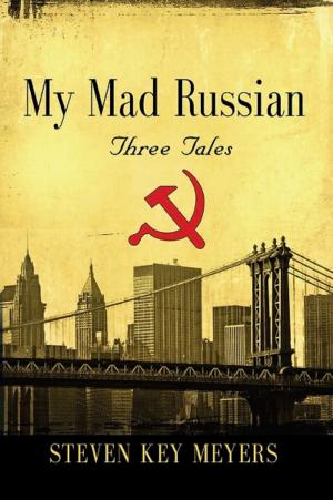 Book cover of My Mad Russian
