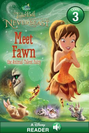 bigCover of the book Tinker Bell and the Legend of the NeverBeast: Meet Fawn by 