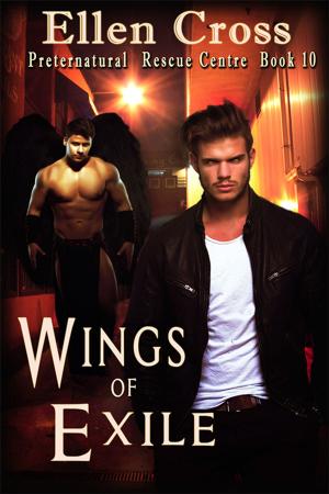 Cover of the book Wings of Exile by Seelie Kay