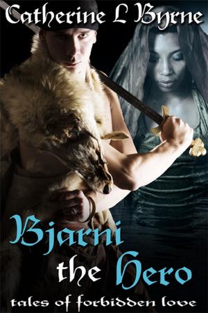 Cover of the book Bjarni the Hero by Jolene Beauchamp