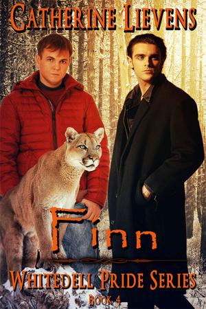 Cover of the book Finn by Celine Chatillon