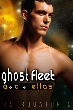 Cover of the book Ghost Fleet by A.J. Llewellyn
