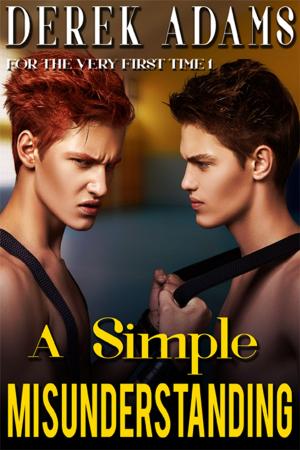 Cover of the book A Simple Misunderstanding by Ora Le Brocq