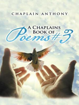 Cover of the book A Chaplains Book of Poems # 3 by David Hart