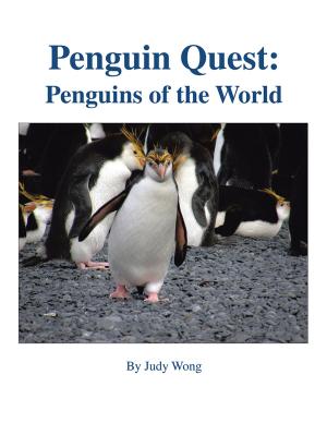 Cover of the book Penguin Quest: by Hugh M. Lewis