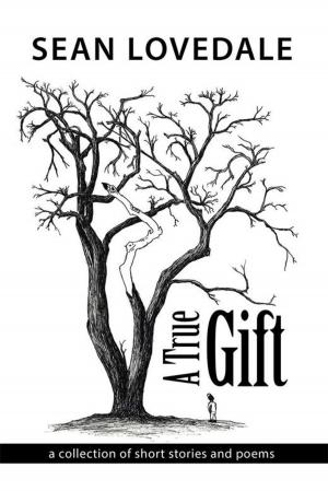 Cover of the book A True Gift by Beverly Laurant