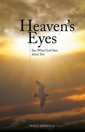 Cover of the book Heaven's Eyes by Rebecca Mathis