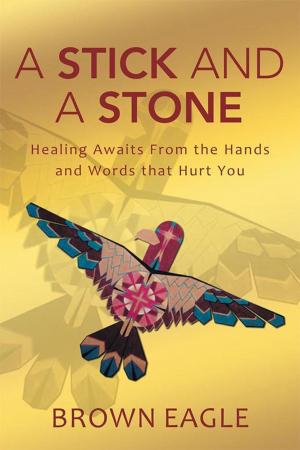 Cover of the book A Stick and a Stone by Donnie Anthony