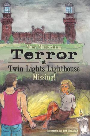 Cover of the book Terror at Twin Lights Lighthouse by David R. Hawkins