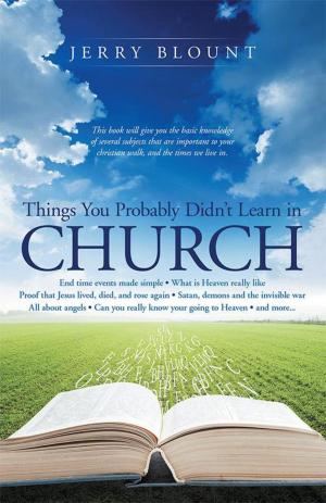 Cover of the book Things You Probably Didn't Learn in Church by Daniel J. Carlson