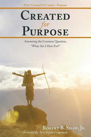 Cover of the book Created for Purpose by David E. Plante