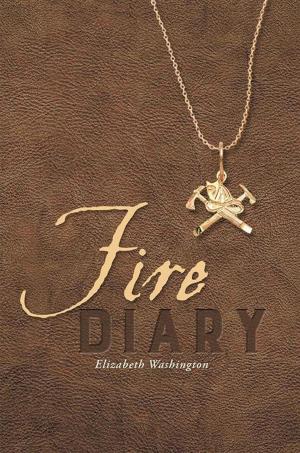 Cover of the book Fire Diary by Kelli Bressman Horn