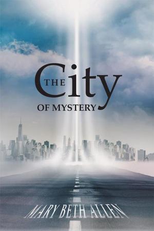 Book cover of The City of Mystery