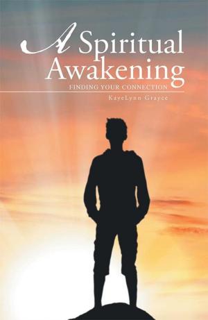 Cover of the book A Spiritual Awakening by Herman R. Habegger