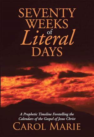 Cover of the book Seventy Weeks of Literal Days by Su Lee