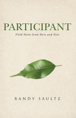 Cover of the book Participant by Dr. Keith Washington