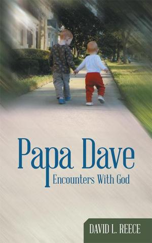 Cover of the book Papa Dave by Clovis McCallister