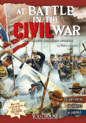 Cover of the book At Battle in the Civil War by Blake Hoena