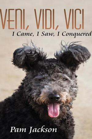 Cover of the book Veni, Vidi, Vici by Meryle Wooster Rubenstein