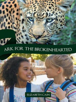 Cover of the book Ark for the Brokenhearted by Jeanne James Cox