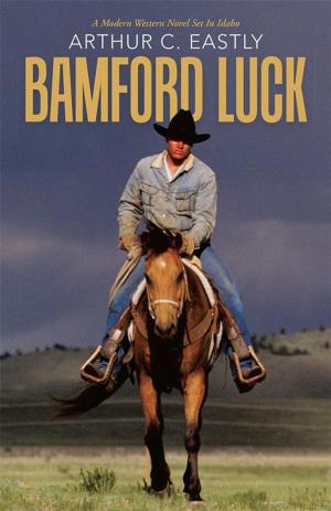 Book cover of Bamford Luck
