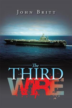 Cover of the book The Third Wire by Brigitte Knowles