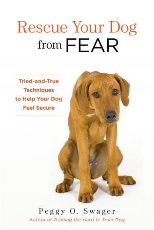 Cover of the book Rescue Your Dog from Fear by Myron Korach, John Mordock