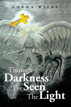 Cover of the book Through Darkness I’Ve Seen the Light by Ron Perrin