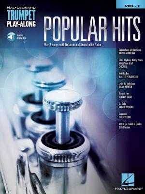 Cover of the book Popular Hits by Hal Leonard Corp.