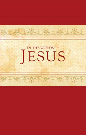 Cover of the book In the Words of Jesus by Melanie Shankle