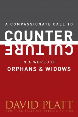 Cover of the book A Compassionate Call to Counter Culture in a World of Orphans and Widows by Kelly O'Dell Stanley
