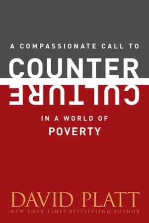 Book cover of A Compassionate Call to Counter Culture in a World of Poverty
