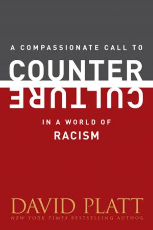 Cover of the book A Compassionate Call to Counter Culture in a World of Racism by Mark Mittelberg