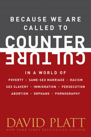 Cover of the book Because We Are Called to Counter Culture by Karen Kingsbury, Gary Smalley