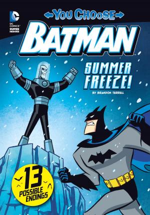 bigCover of the book Summer Freeze! by 