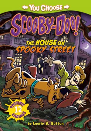 Cover of the book The House on Spooky Street by Steve Korte