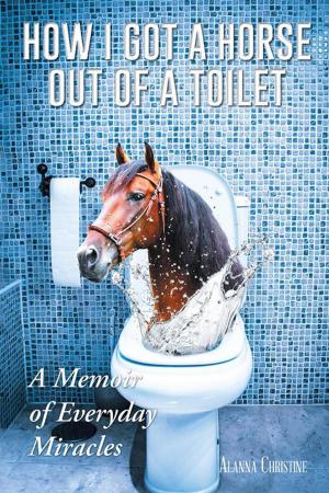 Cover of the book How I Got a Horse out of a Toilet by T. Jack Lewis