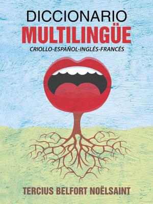 Cover of the book Diccionario Multilingüe by Martin Regan Dove