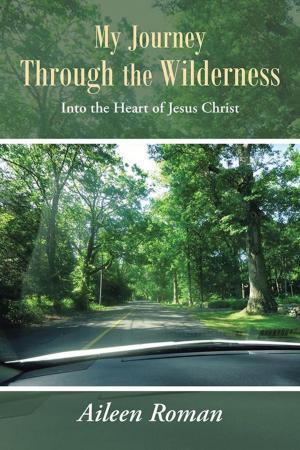 Cover of the book My Journey Through the Wilderness by Alice Eason