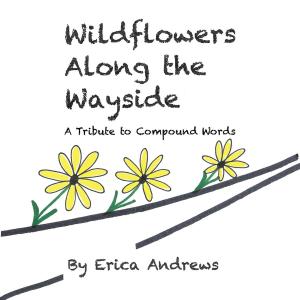 Cover of the book Wildflowers Along the Wayside by Robert D. Ronson