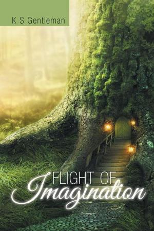 Cover of the book Flight of Imagination by Chad Gayle