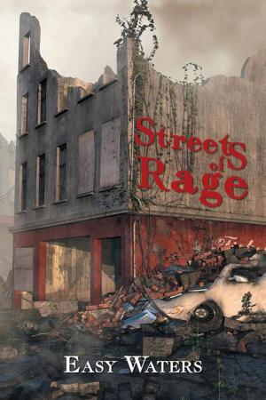 Cover of the book Streets of Rage by Tosha Jenkins-Turner
