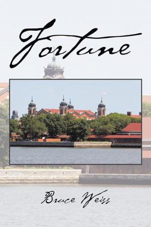 Cover of the book Fortune by J C Johnson