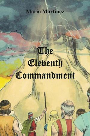 Book cover of The Eleventh Commandment