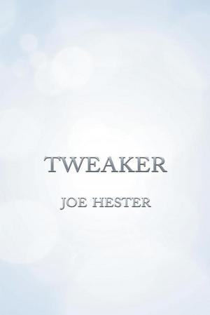 Book cover of Tweaker