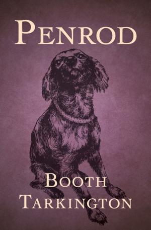 Cover of the book Penrod by Amanda Scott