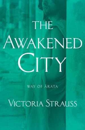 Cover of the book The Awakened City by Randy S. Hall