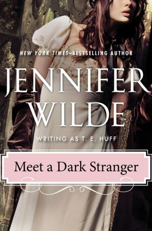 Cover of the book Meet a Dark Stranger by Barbara Steiner