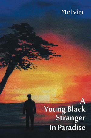 Cover of the book A Young Black Stranger in Paradise by The WHIM Project